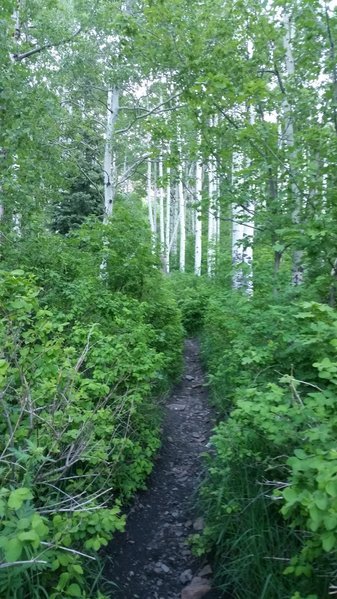 20160615_073739.jpg