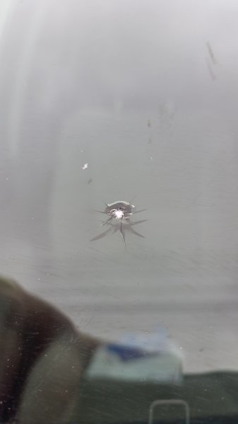 20160615_092241.jpg