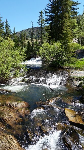 20160615_104801.jpg