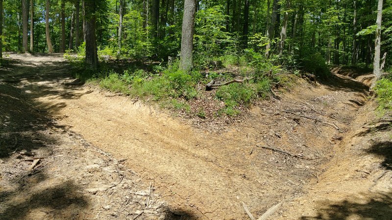 20160618_141303.jpg