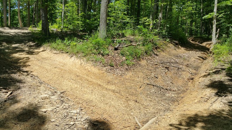 20160618_141304.jpg
