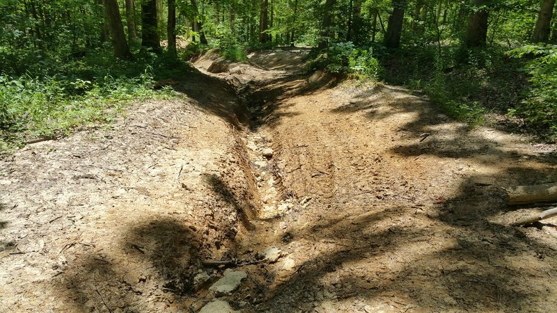 20160618_141314.jpg