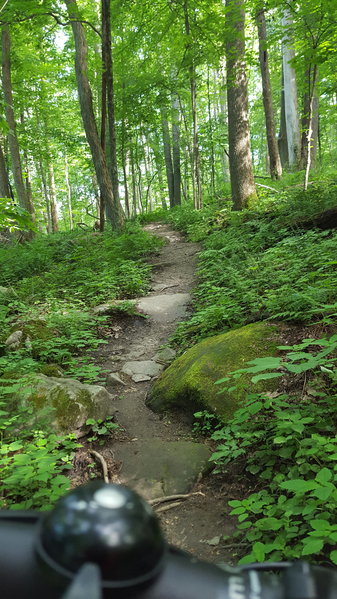20160619_170113.jpg