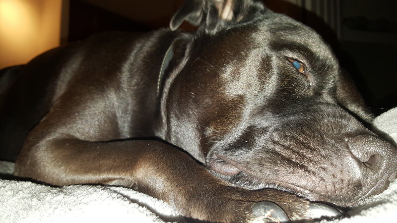 20160622_012330.jpg