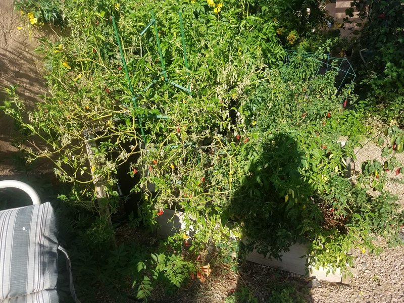 20160623_074059.jpg