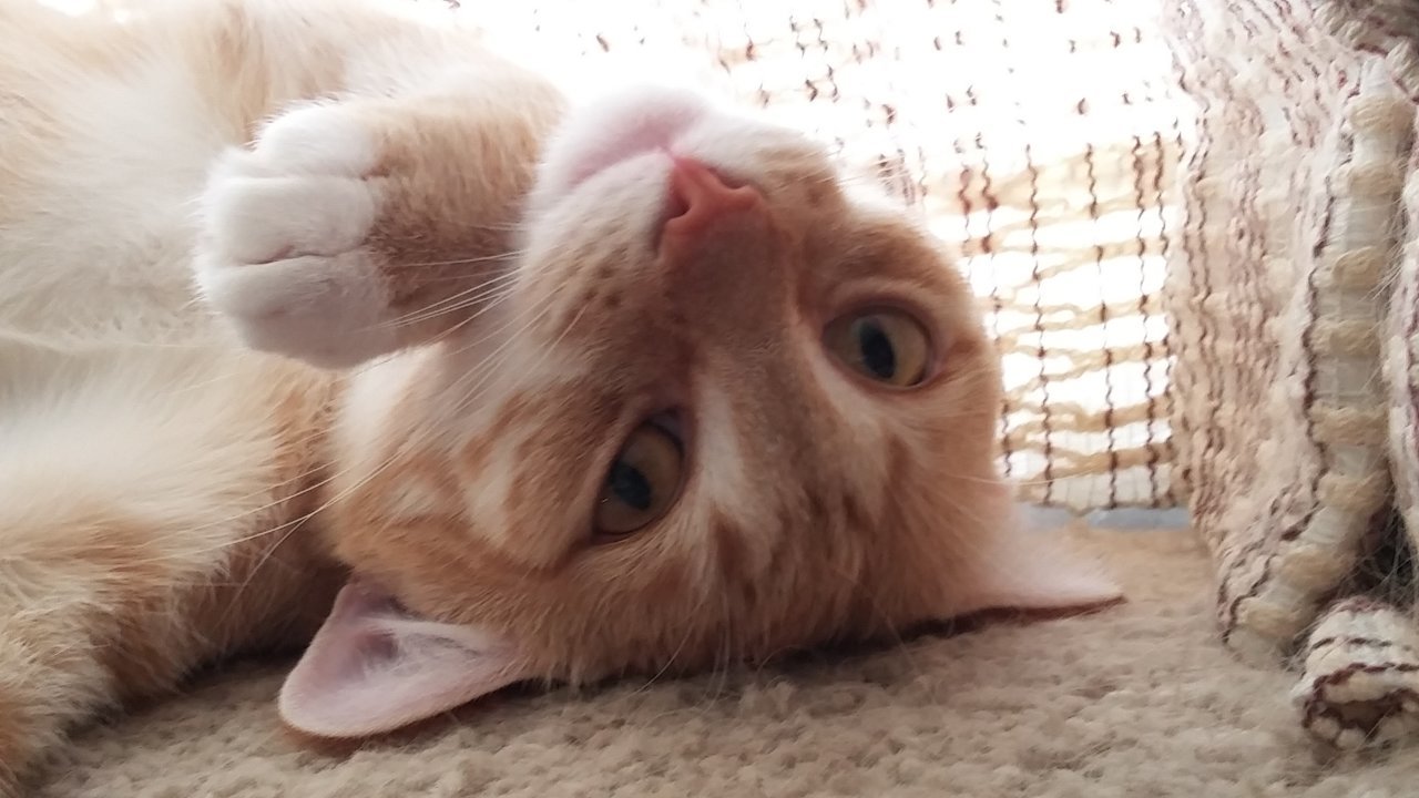 20160623_165031.jpg