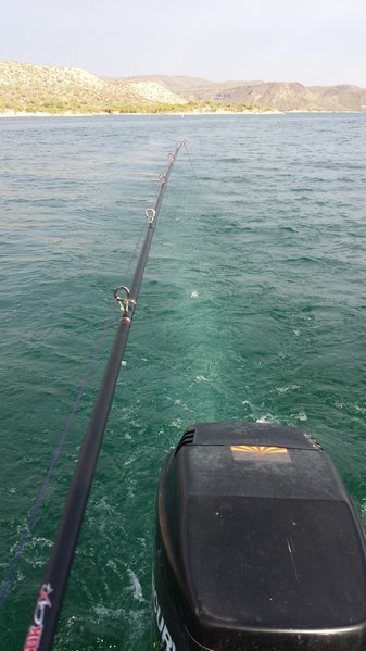 20160623_180644[1].jpg