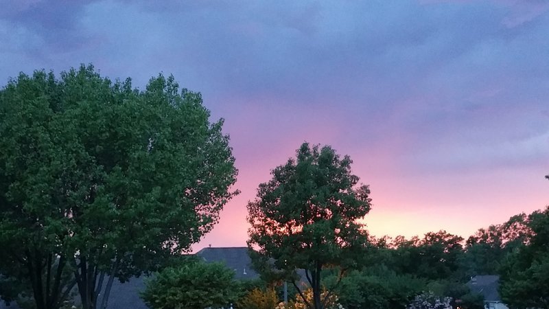 20160626_204542.jpg