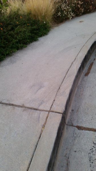 20160627_201020.jpg
