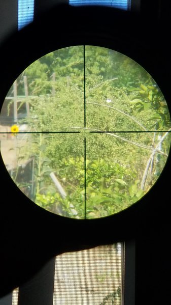 20160629_165507.jpg