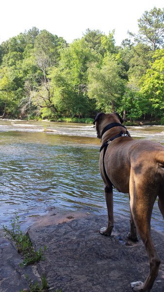 20160702_101141.jpg