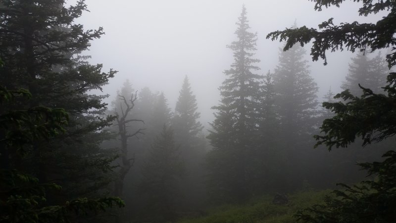 20160702_103607.jpg