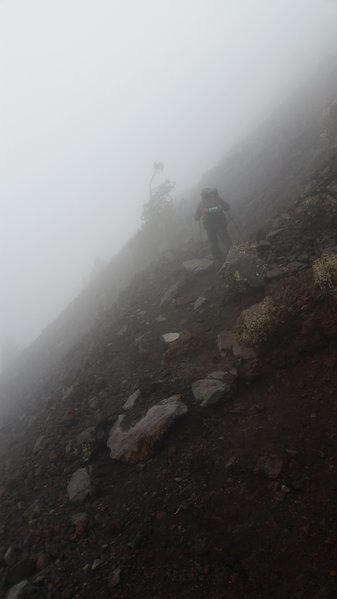 20160702_120427.jpg