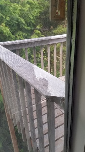 20160703_063423.jpg