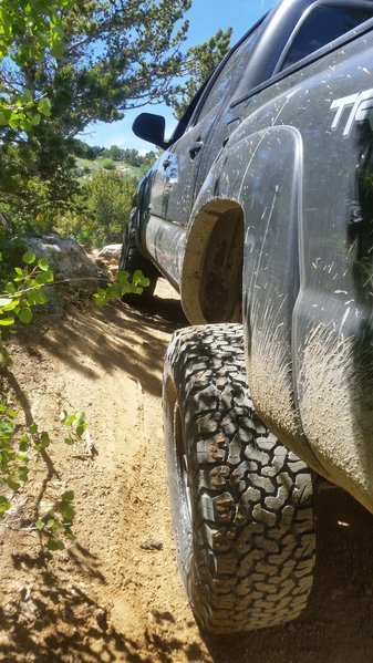 20160703_134846.jpg