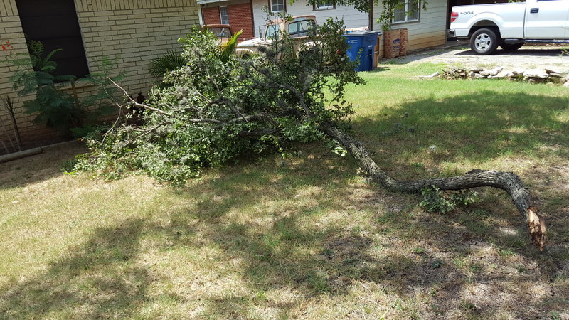 20160704_121513.jpg