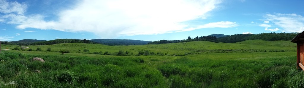 20160704_161431_zpsphyrhtlk_3672b76a79e764e8c3da5310c9e6be36349ee893.jpg