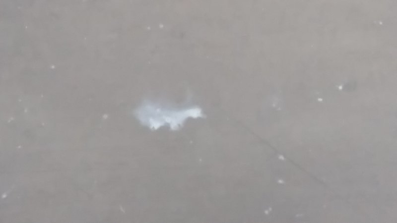 20160706_200659.jpg