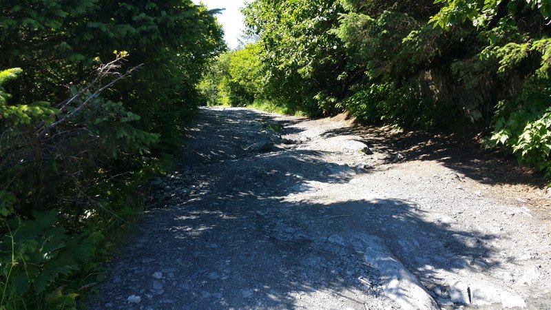 20160708_125247.jpg