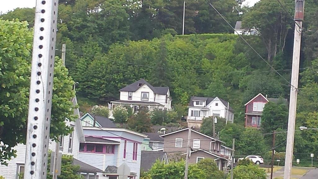 20160709_171224_zpshrnxtaja_75f400db8c60c3d999836964ab6eb5973d2d62cb.jpg