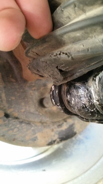 20160710_102438.jpg