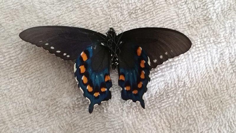 20160716_141923.jpg
