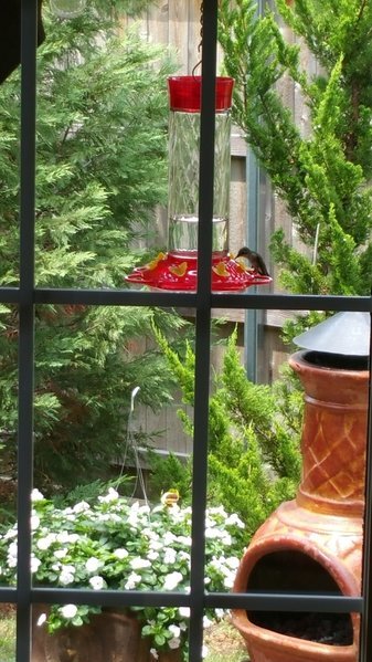 20160716_142448.jpg