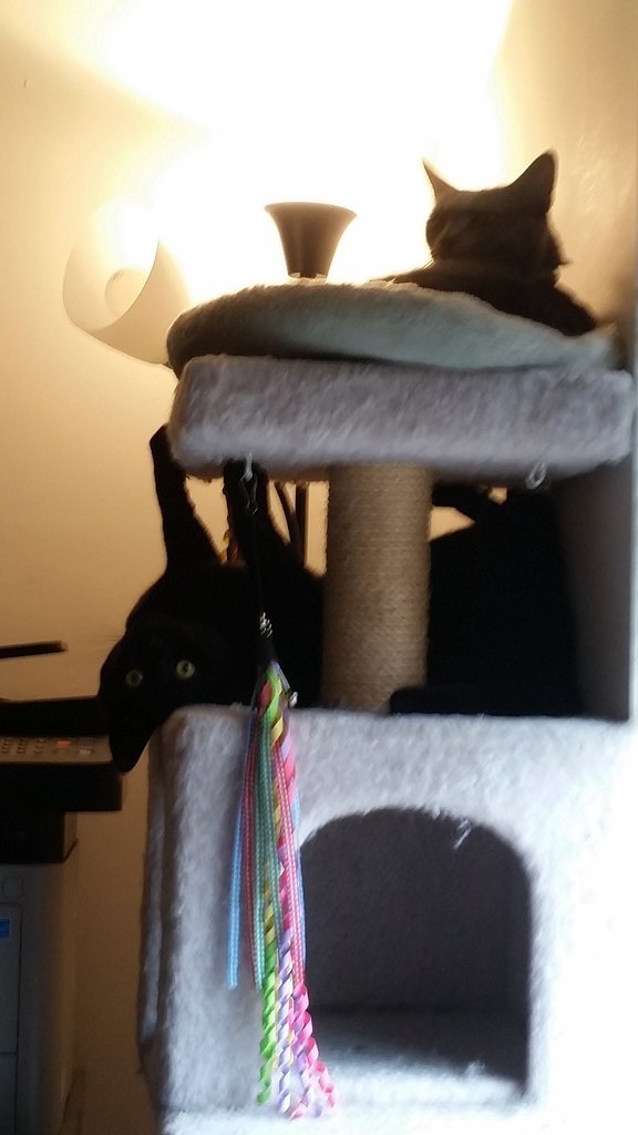 20160716_165731.jpg