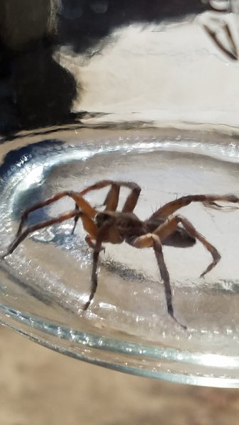 20160717_154214.jpg