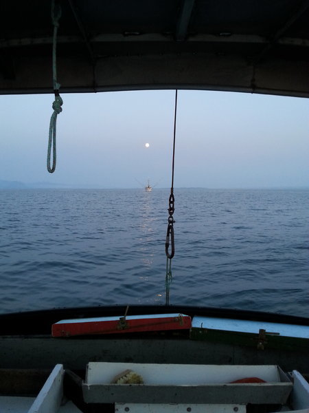 20160718_215205.jpg