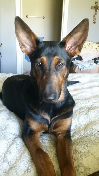 20160719_150310.jpg