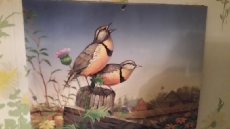 20160720_214658.jpg
