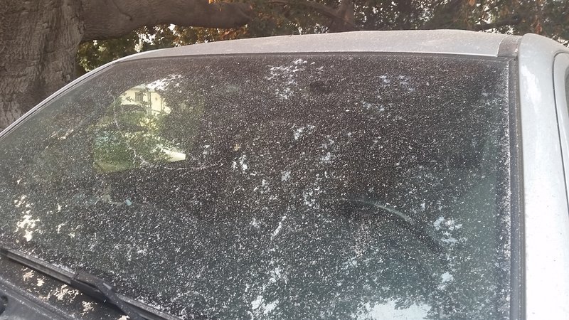 20160723_074209.jpg