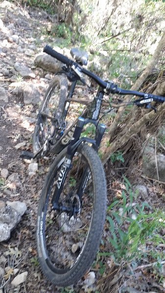 20160723_120852.jpg