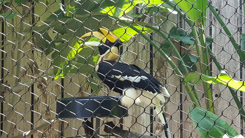 20160723_122646.jpg