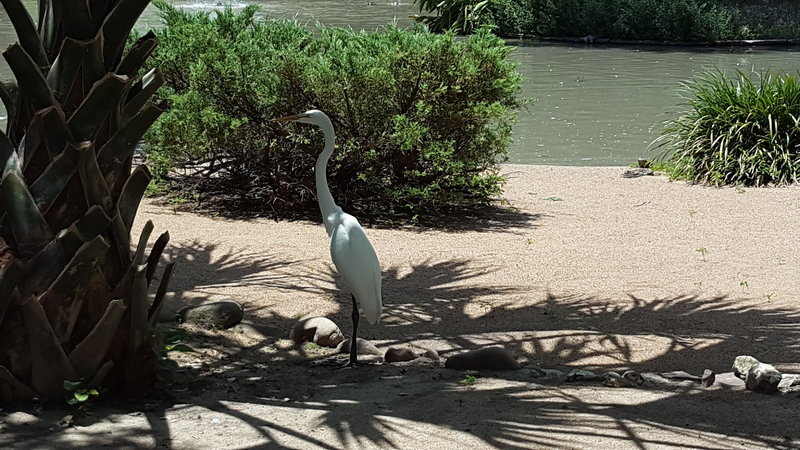 20160723_125401.jpg