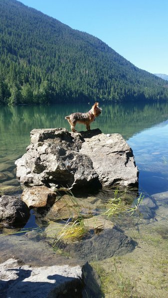 20160724_104505_resized.jpg