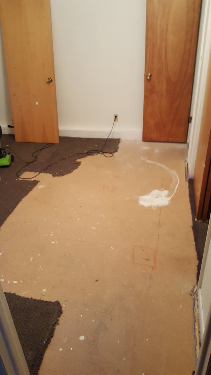 20160725_210731.jpg