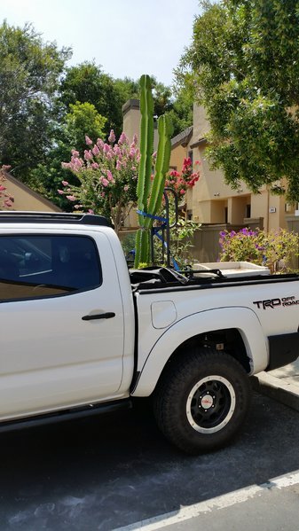 20160730_115838.jpg