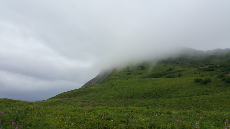 20160731_111303.jpg