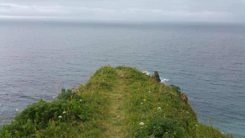 20160731_112225.jpg