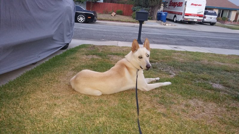 20160731_200235.jpg