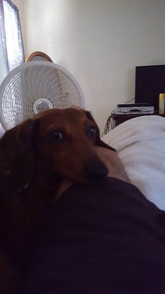 20160801_084927.jpg