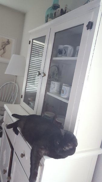 20160804_154105.jpg