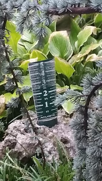 20160806_095204.jpg