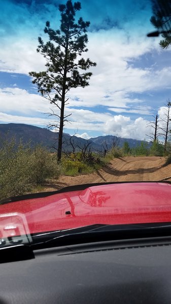 20160806_150513.jpg