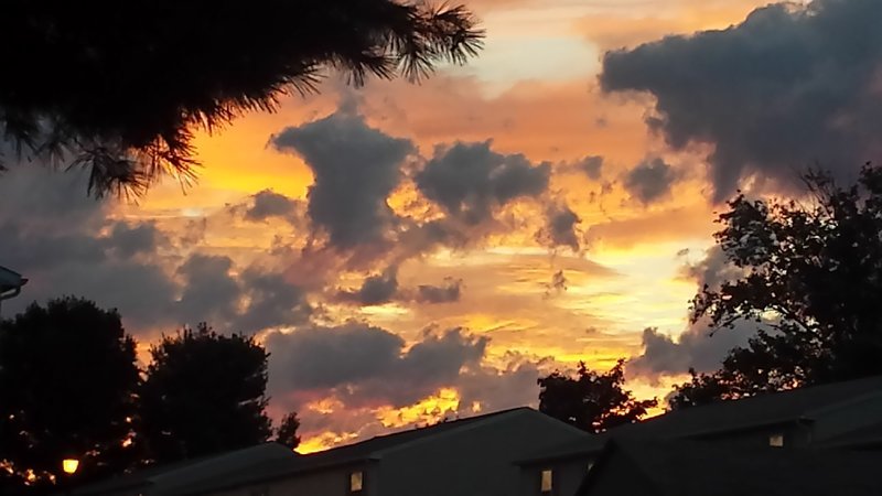 20160808_060732_LLS.jpg