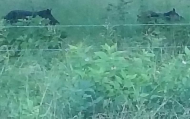 20160808_190708.jpg