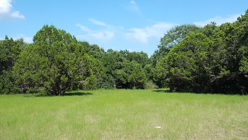 20160809_171414.jpg