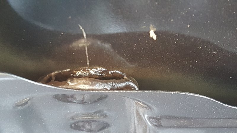 20160811_180833.jpg